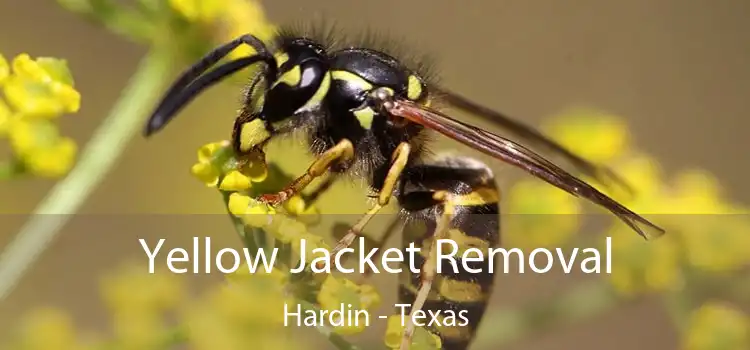 Yellow Jacket Removal Hardin - Texas