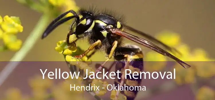 Yellow Jacket Removal Hendrix - Oklahoma