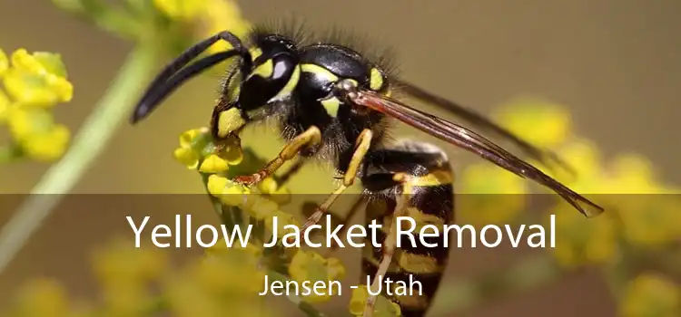 Yellow Jacket Removal Jensen - Utah