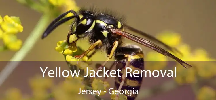 Yellow Jacket Removal Jersey - Georgia