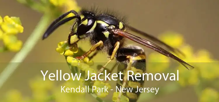 Yellow Jacket Removal Kendall Park - New Jersey
