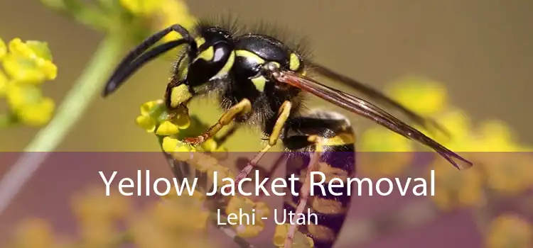 Yellow Jacket Removal Lehi - Utah