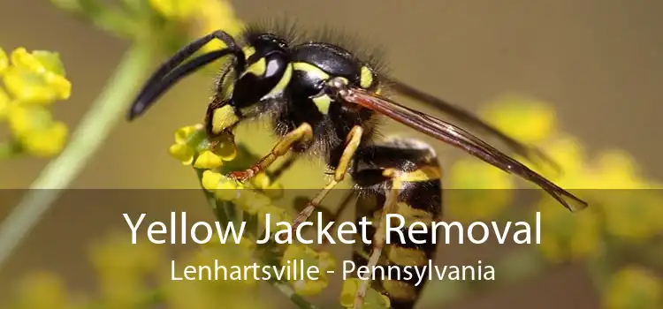 Yellow Jacket Removal Lenhartsville - Pennsylvania