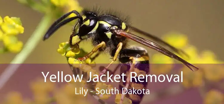 Yellow Jacket Removal Lily - South Dakota