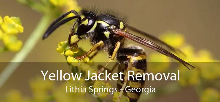 Yellow Jacket Removal Lithia Springs - Georgia