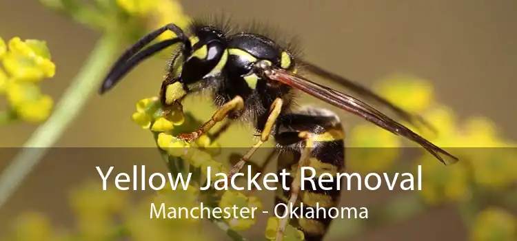 Yellow Jacket Removal Manchester - Oklahoma