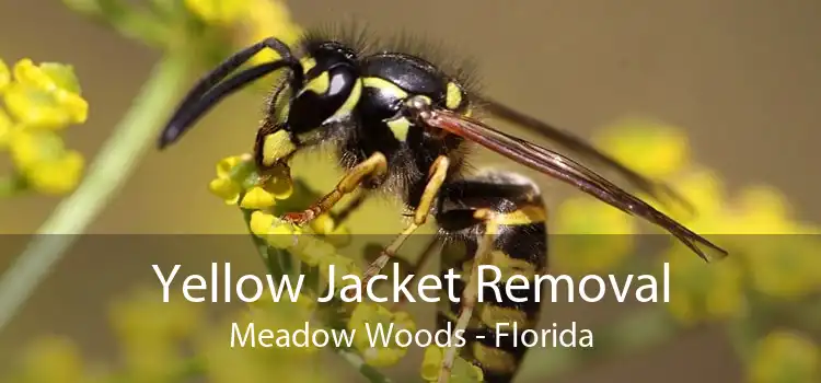 Yellow Jacket Removal Meadow Woods - Florida