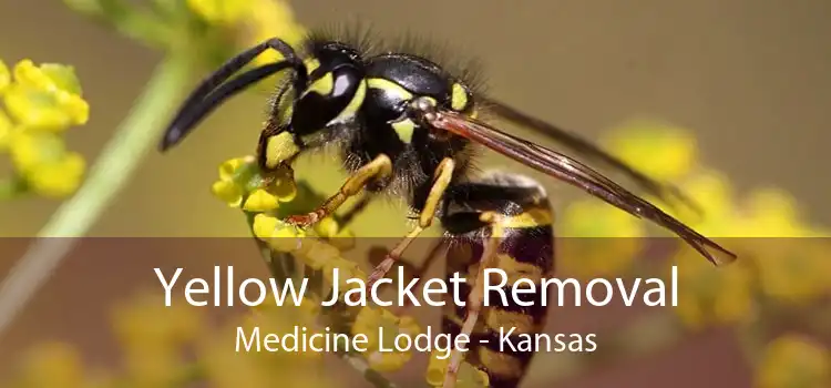 Yellow Jacket Removal Medicine Lodge - Kansas