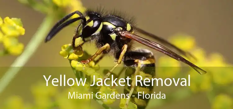Yellow Jacket Removal Miami Gardens - Florida