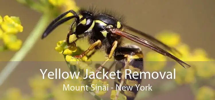 Yellow Jacket Removal Mount Sinai - New York