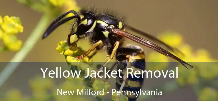 Yellow Jacket Removal New Milford - Pennsylvania