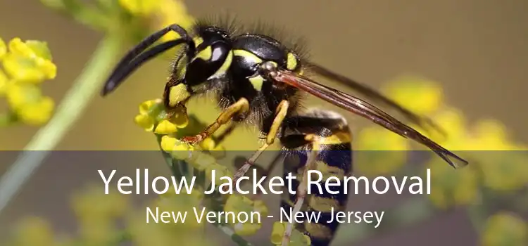 Yellow Jacket Removal New Vernon - New Jersey