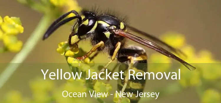 Yellow Jacket Removal Ocean View - New Jersey