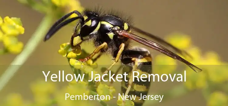 Yellow Jacket Removal Pemberton - New Jersey