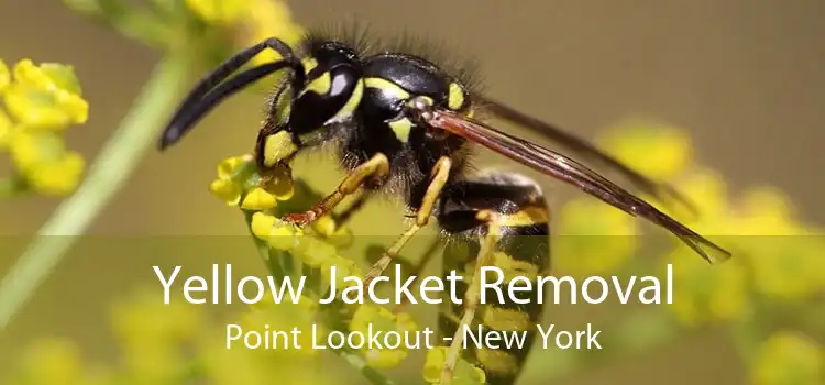 Yellow Jacket Removal Point Lookout - New York