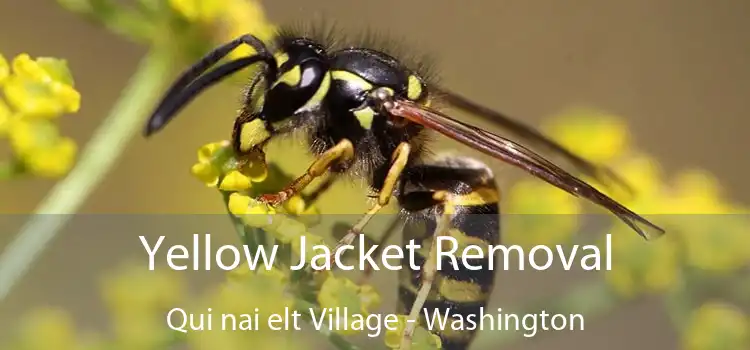 Yellow Jacket Removal Qui nai elt Village - Washington