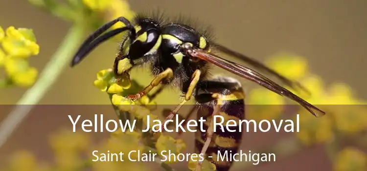 Yellow Jacket Removal Saint Clair Shores - Michigan