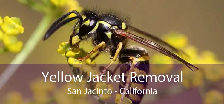 Yellow Jacket Removal San Jacinto - California