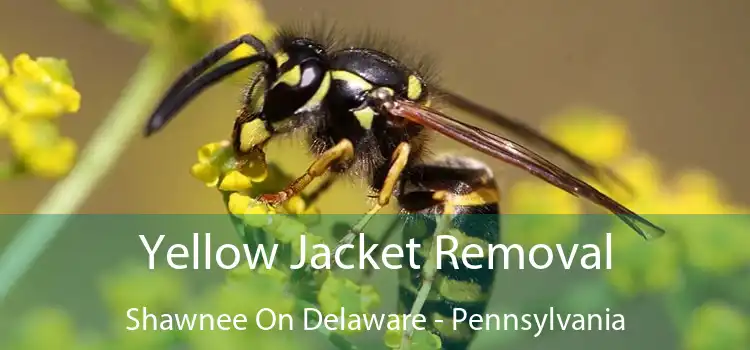 Yellow Jacket Removal Shawnee On Delaware - Pennsylvania
