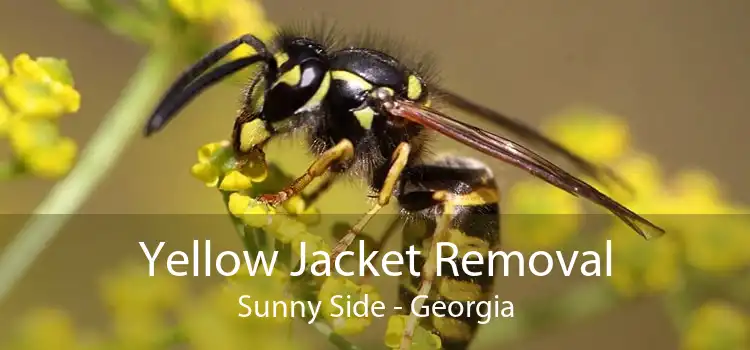 Yellow Jacket Removal Sunny Side - Georgia