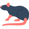 Rat Exterminator