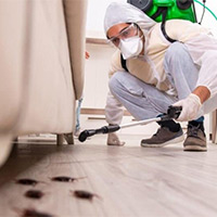 Cheap Roach Exterminator in Tunnel Hill, GA