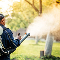 Lawn Mosquito Control in Garden Valley, ID