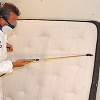 Local Bed Bug Exterminators in Florham Park, NJ