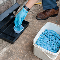 Mice And Rat Exterminator in Alabaster, AL    