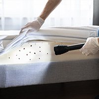 Professional Bed Bug Exterminator in Florham Park, NJ