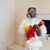 Rat Control Services in Alabaster, AL